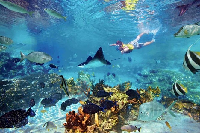 The great snorkeling adventure at the Riviera Maya private tour - Pickup, timing, and what the 90-minute drive feels like