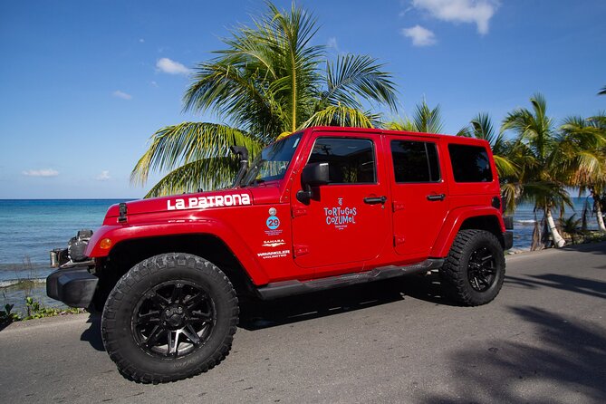 The Original Jeep Tour Revamped by Tortugas Cozumel® (Private) - A Private Self-Drive Jeep That Covers More Than the Usual Route