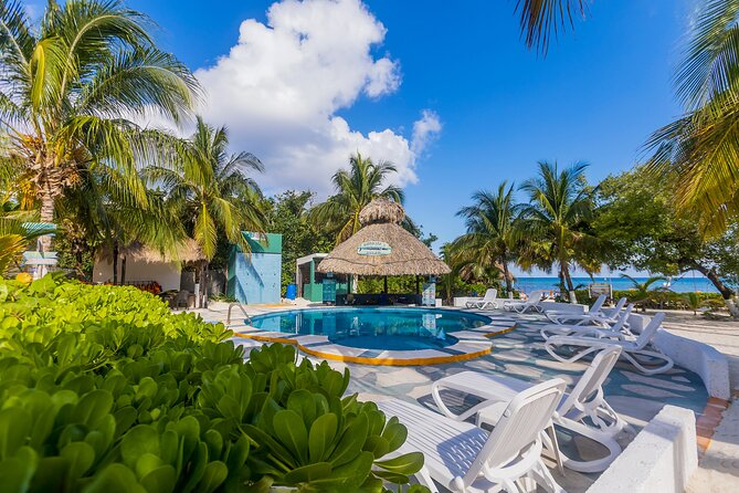 Tikinxic Barefoot Fish Guided Cookout Experience in Cozumel - Age Rules, Alcohol Limits, and Food Allergy Caution