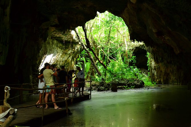 Tortugas & Cenotes Snorkel With Turtles Tour - Lunch, snacks, and the fees that can change your budget