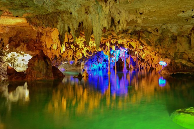 Tortugas & Cenotes Snorkel With Turtles Tour - Who should book this turtle and cenote tour, and who should reconsider