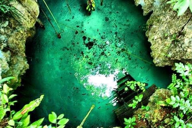 Tour Cenote Santa Cruz - Wildlife, formations, and what you should notice underground