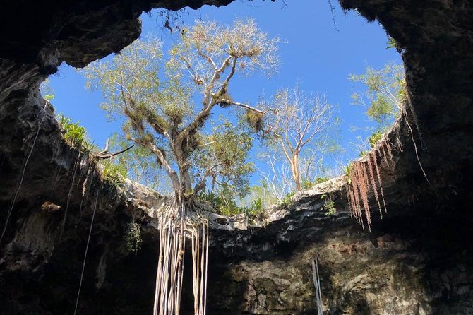 Tour Cenotes Santa Bárbara - Timing and group size, so you do not lose your day