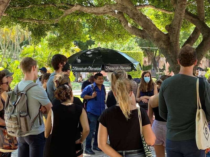 Tour the great city of Mérida, Yucatán - Key highlights worth your time
