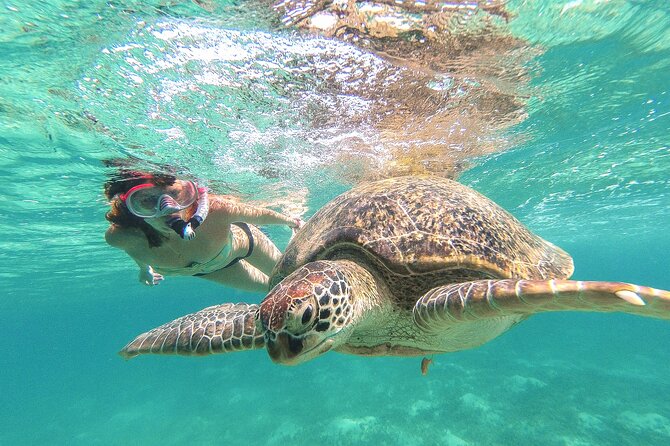 Tour to Tulum and Cenote Swimming with Turtles from Tulum - The Value Check: What You Get for $89 in Tulum