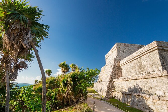 Tour to Tulum and Cenote Swimming with Turtles from Tulum - Getting Around with Air-Conditioning: Why Comfort Matters Here