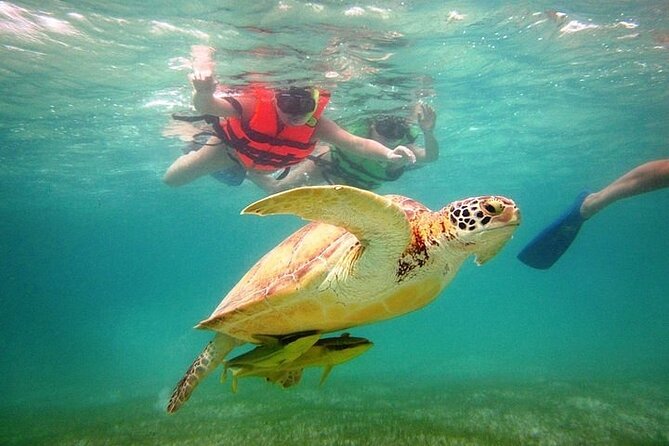 Tour to Tulum and cenote with swimming with turtles from Riviera Maya - Canamayte Cenote and Ecopark (Mariposa): where the day gets wet and worth it