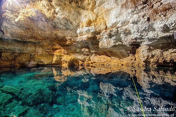 Tour Tulum Coba Cenote and Playa del Carmen (4 in 1) - Cobá Archaeological Zone: what you get, and what you might miss
