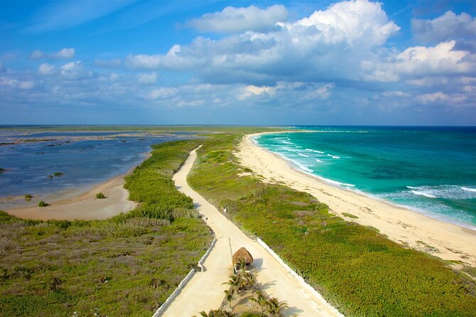 Tours along the beaches of Cozumel Mexico by buggy all inclusive - Key Highlights You Can Plan Around