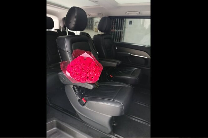 Transfer in Luxury Mercedes Benz Minivan - Where it fits best: couples, families, and first-timers