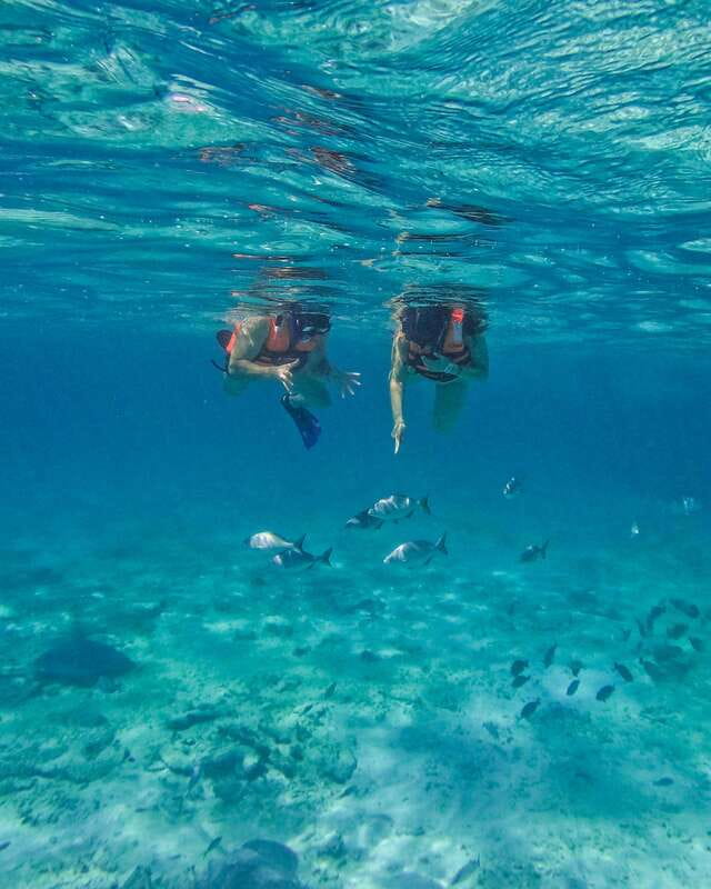 Tulum: 2-Hour Snorkeling in Two Spots of Tulum's Reef - Key things to know before you go