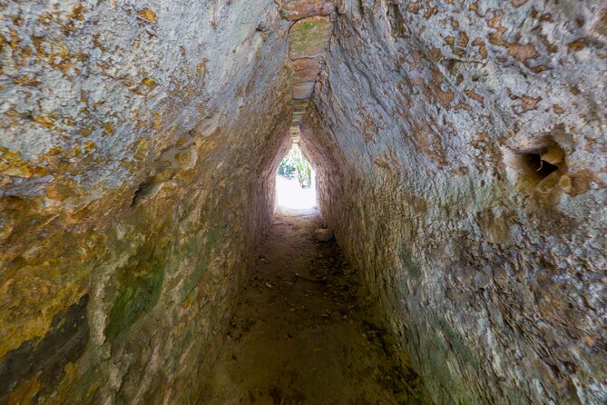 TULUM 4x1: Archaeological Zone, COBA, Cenote, 5th Avenue and lunch. - Guides and communication: where it shines and where you should stay alert
