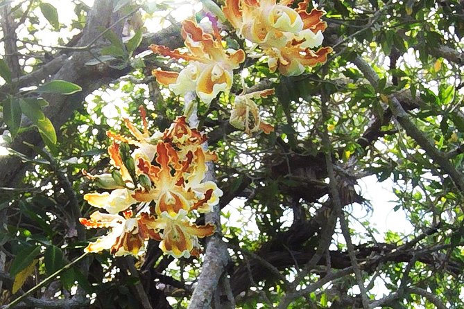 Tulum Archaeological Site & Sian Ka'an Muyil Tour from Tulum - Mexican tacos and a real break in Tulum