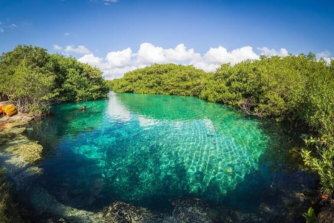 Tulum Area Experiences Guided 2 Tank Scuba Dive Casa Cenote & Barrier Reef-Lunch - Traditional Mayan lunch: cochinita, fruit, and drinks that actually refuel you