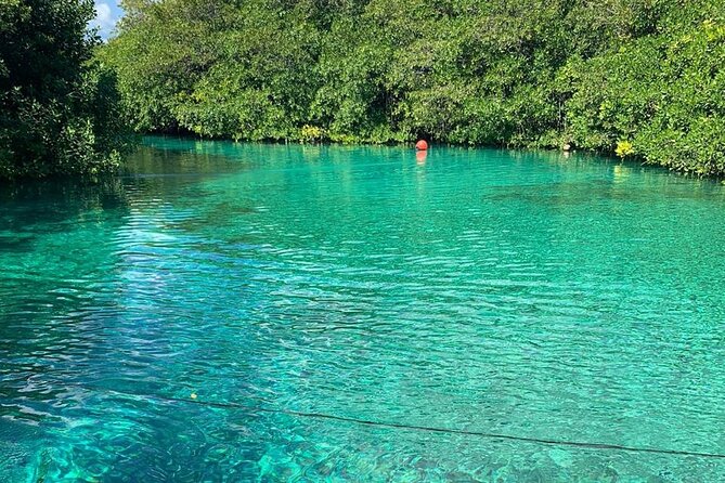 Tulum Area Experiences Guided 2 Tank Scuba Dive Casa Cenote & Barrier Reef-Lunch - Gear, equipment age, and what you should bring