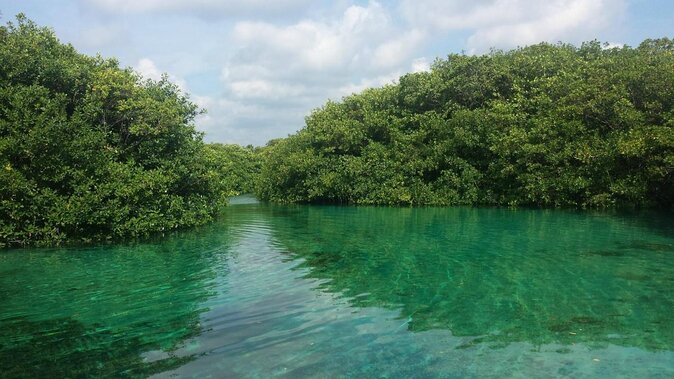 Tulum Area Experiences Guided Snorkeling Tour - Casa Cenote + Ocean Reef & Lunch - Casa Cenote snorkeling plus the Barrier Reef, all in one morning