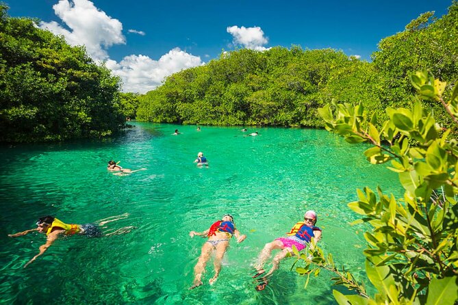 Tulum Area Experiences Guided Snorkeling Tour - Casa Cenote + Ocean Reef & Lunch - Casa Cenote: freshwater, rocks, and fish you can actually watch