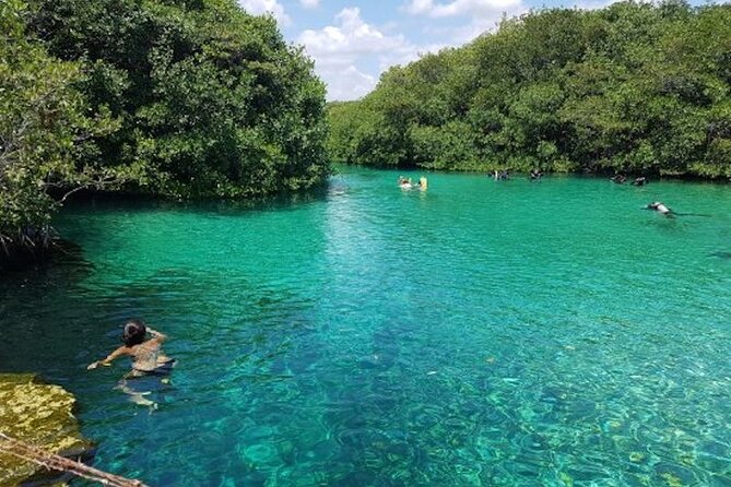 Tulum Area Experiences Guided Snorkeling Tour - Casa Cenote + Ocean Reef & Lunch - When ocean conditions change the plan, what happens next