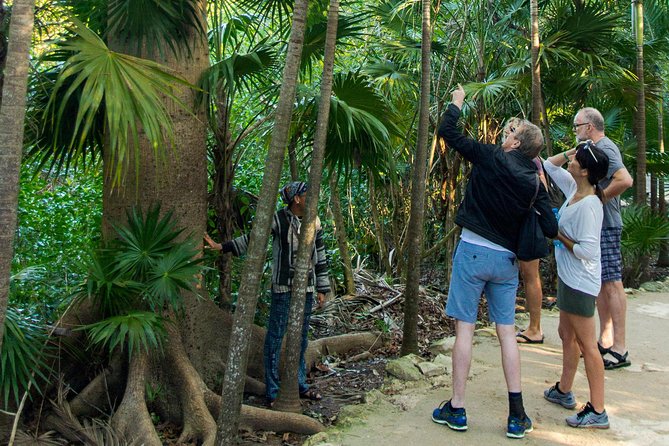 Tulum Bike Tour Tulum Maya Ruins Cenote Swimming Pueblo History Art Tacos Lunch - Bikes, safety, and how to choose the right effort level