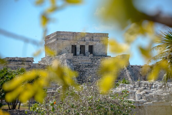 Tulum & Cenote Adventure - Yax-Muul Cenote Swim: Where the Tour Actually Feels Magical