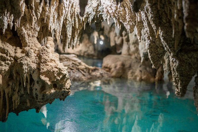 Tulum & Cenote Adventure - Price and Value: What $109 Buys You (Plus the One Fee)