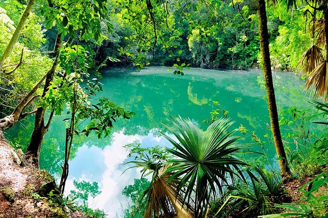 TULUM, CENOTE, MYSTIKA MUSEUM, TURTLES SNORKELING (Private) - Mystika Museum: the built-in break in your half-day