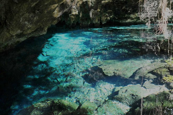 TULUM, CENOTE, MYSTIKA MUSEUM, TURTLES SNORKELING (Private) - Small extras that make this feel like a real private day