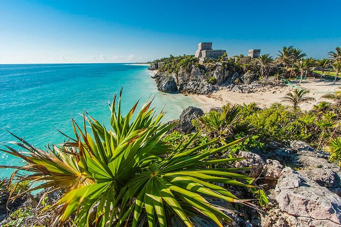 TULUM, CENOTE, MYSTIKA MUSEUM, TURTLES SNORKELING (Private) - Who should book this private Tulum, cenote, and turtles tour