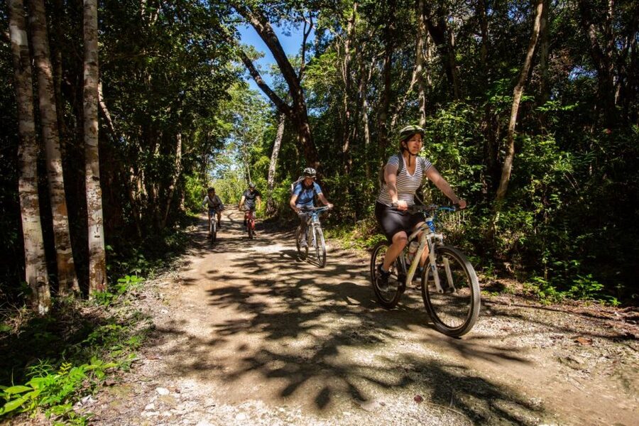Tulum: Cenote Trail Bike Tour - Who this Tulum bike and cenote tour fits, and who should skip it