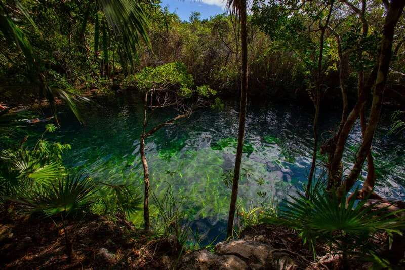 Tulum: Cenote Trail Bike Tour - Value check: is $119 worth it for a half-day of multiple adventures