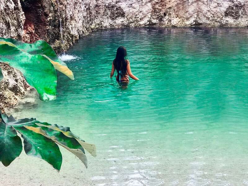 Tulum: Chocolate & Honey Sanctuary Experience with Lunch - Price and value in Tulum: what $59 buys you
