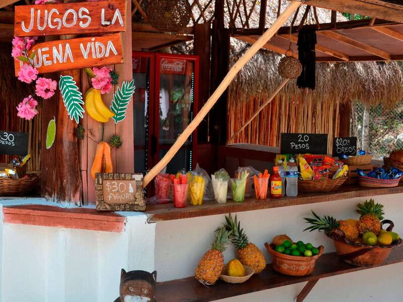 Tulum: Chocolate & Honey Sanctuary Experience with Lunch - Picking your chocolate flavors, plus the stingless-bee conservation lesson