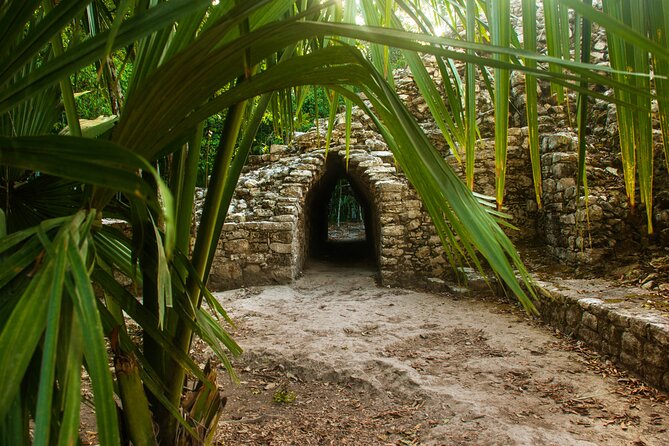 Tulum, Coba & Cenote All-Inclusive Tour - Playa del Carmen Fifth Avenue: a quick taste, not a full day