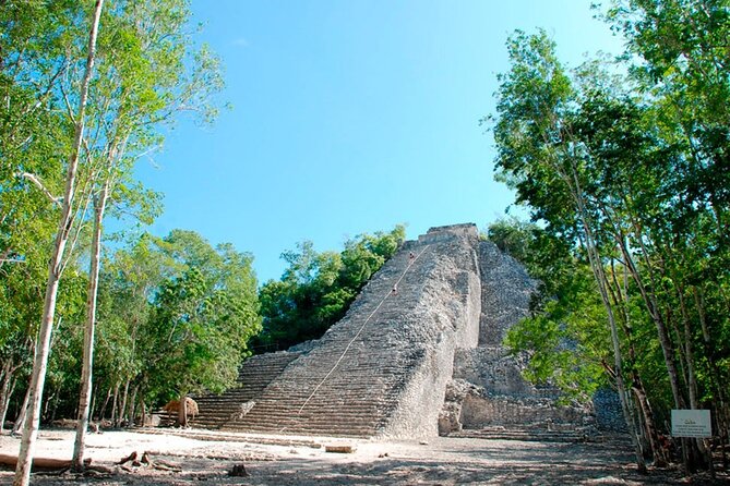 Tulum, Coba, Cenote & Playa Del Carmen! Full Mayan Experience - Playa del Carmen: a short 5th Avenue walk, not a full city day