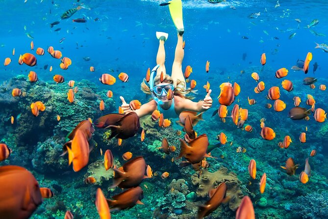 Tulum Day Trip: Pyramids + Reef Snorkel & Cenote Swim - What to Bring for Ruins, Reef, and Cenote Day