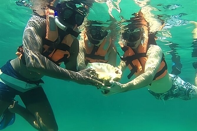 Tulum Day Trip: Pyramids + Reef Snorkel & Cenote Swim - Who Should Book This Tour, and Who Might Want a Different Plan