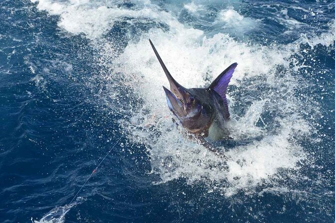 Tulum Deep Sea Fishing Tour - Cleaning your catch and the hook-and-cook idea