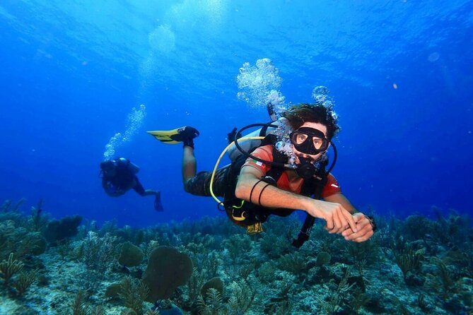 Tulum Diving (Reef) 2 Tanks - Quick Highlights