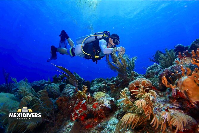 Tulum Diving (Reef) 2 Tanks - Getting Oriented at the Beach, Ready by 8:30