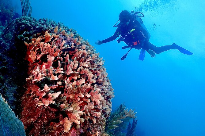 Tulum Diving (Reef) 2 Tanks - Weather and Timing, the Stuff That Can Affect Your Plans
