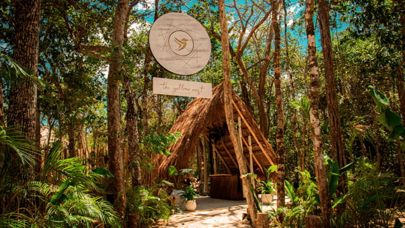 Tulum: Floating Breakfast in The Yellow Nest (Day Pass) - Key highlights worth planning for