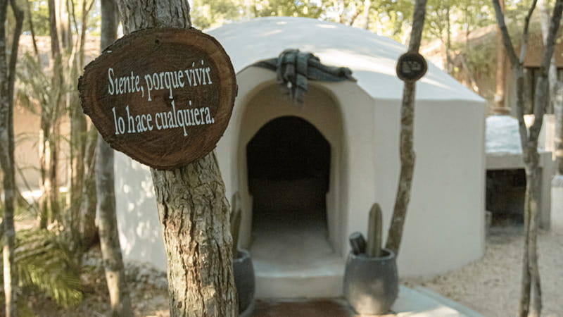 Tulum: Floating Breakfast in The Yellow Nest (Day Pass) - Temazcal meditation: volcanic heat, herbal steam, and Mayan roots