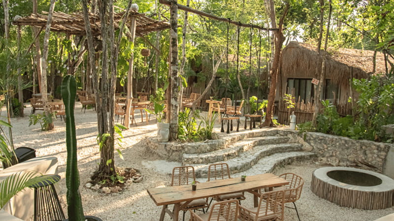 Tulum: Floating Breakfast in The Yellow Nest (Day Pass) - Price and value in Tulum: what $86 buys you