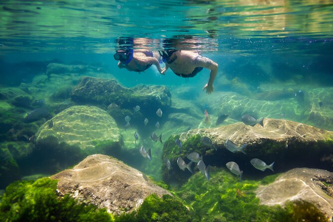 Tulum Guided Tour, Magical Cenote, Lagoon Snorkeling and Beachside Lunch - Price and What Feels Like Value at $169