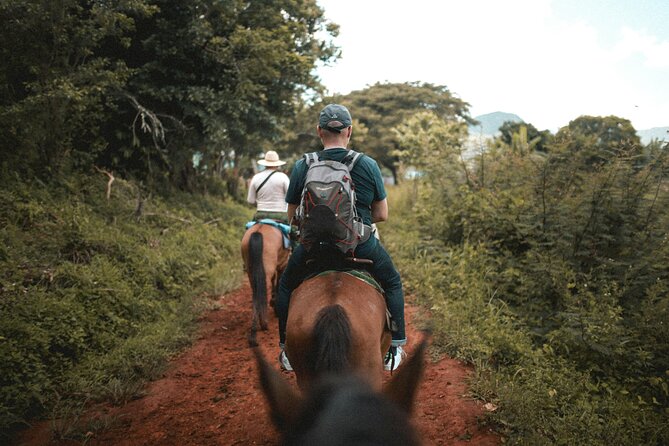 Tulum Jungle Horseback Ride + ATV + Ziplines + Cenote Combo Tour - Cenote Swim Through an Underground River: Cold Water, Clear Reward