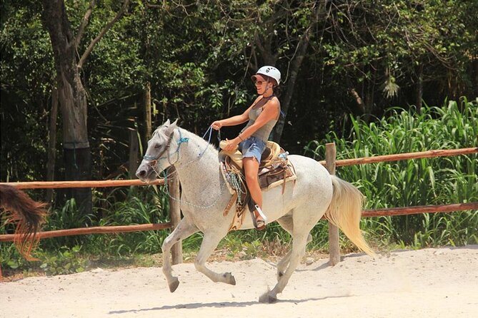 Tulum Jungle Horseback Ride + ATV + Ziplines + Cenote Combo Tour - Lunch With Tacos and Water: Simple, Included, and Filling Enough