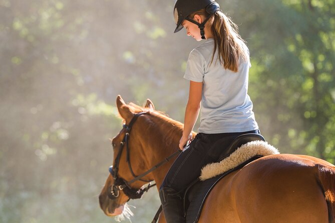 Tulum Jungle Horseback Ride + ATV + Ziplines + Cenote Combo Tour - Getting to Super Aki Tulum and the Other Meeting Points (No Hotel Pickup in Tulum)