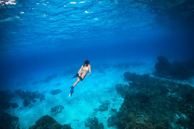 Tulum: Leopard 51′ Yacht with Gourmet Dining & Water Toys - Snorkeling on the Mexican Caribbean Reef Without the Hassle