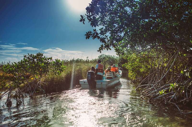 Tulum: Mayan Ruins & Sian Kaan Tour with Boat Ride and Lunch - The Big Idea: Ruins in Tulum, Then a Sian Kaan Float That Feels Like Vacation