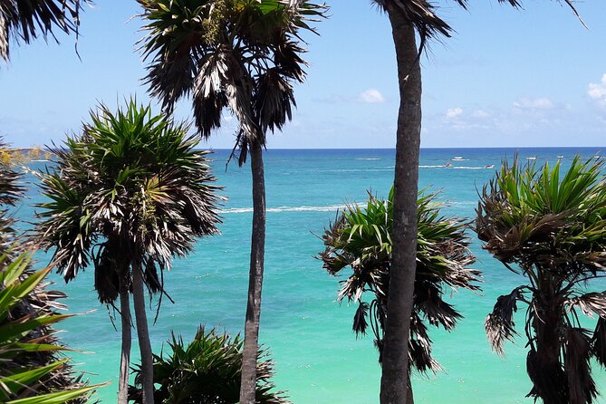 Tulum Private Boat Tour & Turtle Snorkeling Experience - Who this tour fits best